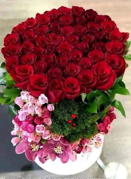 3ad3c39aaf37ee29f85b443ebf6456ea